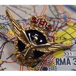 Commercial Pilot Spanish pin badge