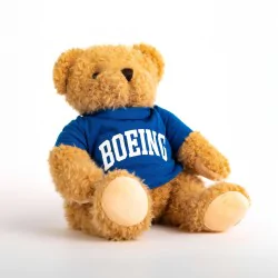 Boeing Varsity Bear
