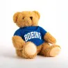 Boeing Varsity Bear