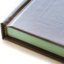 Jeppesen Professional Pilot Logbook -FAA