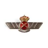 Pin Roquisqui Piloto Ejercito del Aire